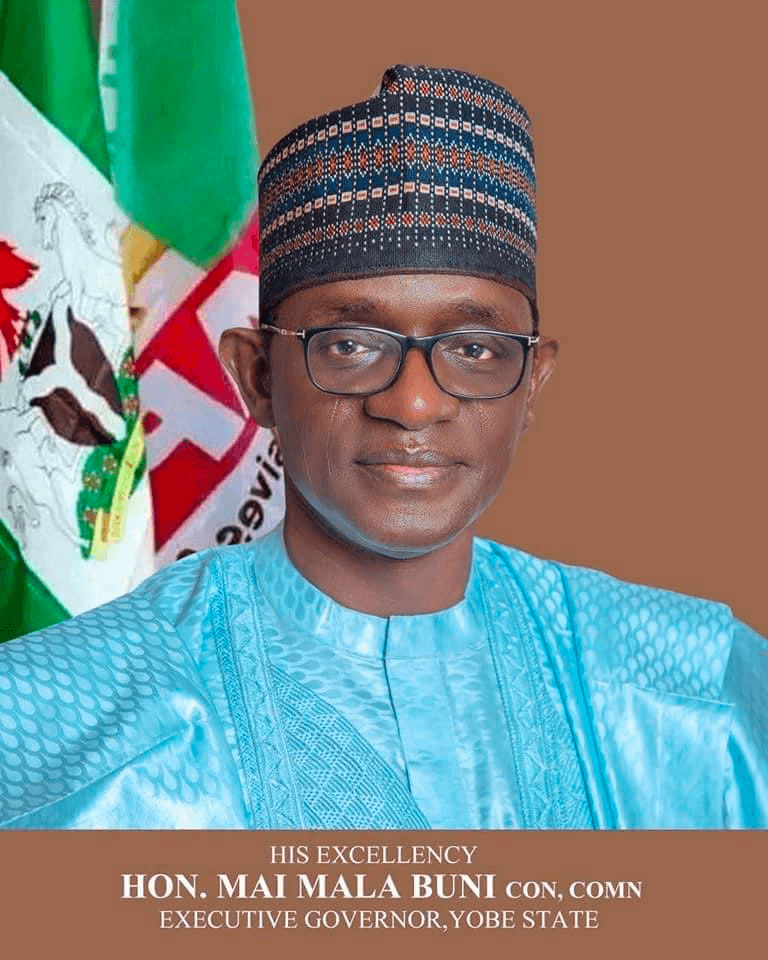 Yobe State Governor, Honourable Mai Mala Buni, Agrees to Patron APC France